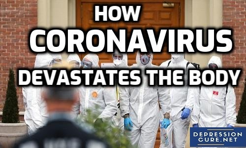 How Coronavirus Devastates The Body